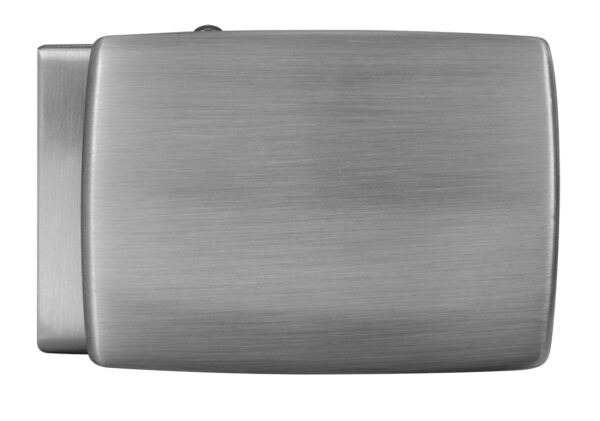 Brushed palladium nickelfree